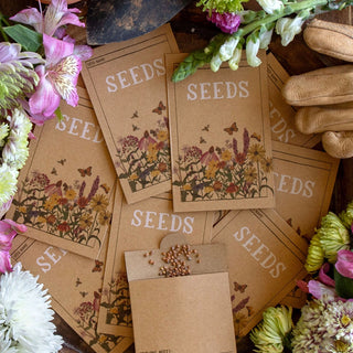 Seed Storage Packets - Set of 12