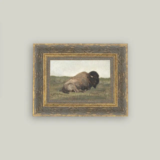 Resting Bison Framed Wall Art