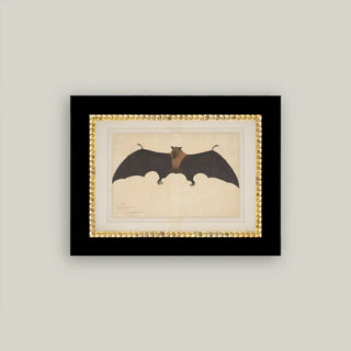 Spooky Bat Framed Wall Art