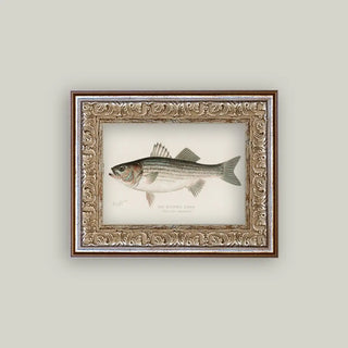 Striped Bass Framed Wall Art