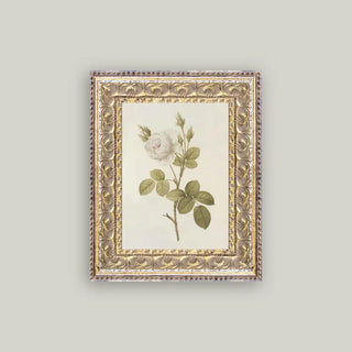 Misty Rose Framed Wall Art