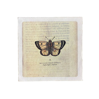 Yellow Butterfly Print 8"x8"