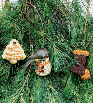 Christmas Bird Feeder Ornament (More Styles)