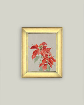 Poinsettia Framed Antique Art