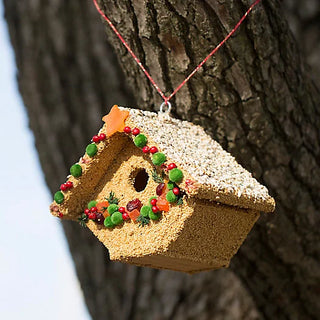 Fruit Casita Bird House Feeder