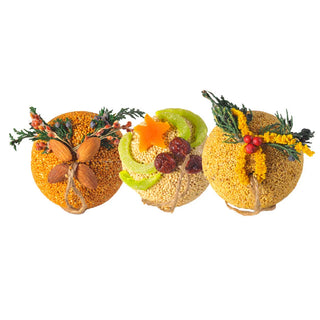 Fruit Ornament Ball Bird Feeder