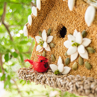 Winter Bloom Bird House Feeder