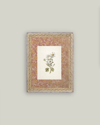 Daisies on Pattern Framed Antique Art