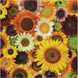 Sunflower Blooms 500 Piece Puzzle