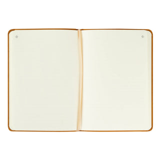Amelia Notebook