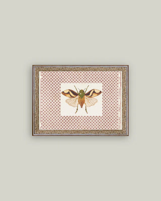 Moth Framed Antique Art (more sizes)