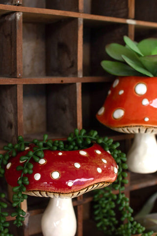 Mushroom Wall Planter