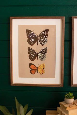 Tri Butterfly Wall Art (two styles)