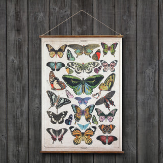 Butterflies Hanging Scroll