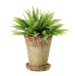 Rustic Terracotta Planter with Saucer