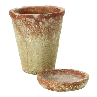 Rustic Terracotta Planter with Saucer