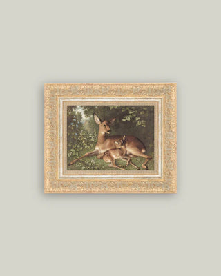 Forest Fawn and Doe Framed Art (more sizes)