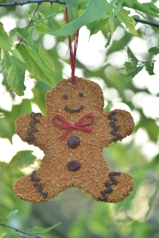 Christmas Cookie Bird Feeder Ornament