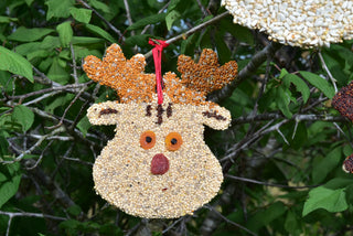 Christmas Cookie Bird Feeder Ornament