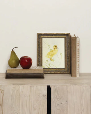 Darling Duckling Framed Wall Art (more sizes)