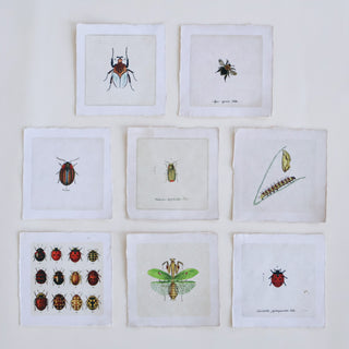 Mini Insects Print 5"x5"