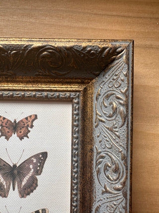 Three Butterflies Framed Wall Art