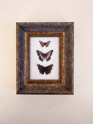Three Butterflies Framed Wall Art