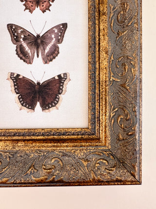 Three Butterflies Framed Wall Art