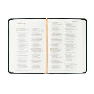 NLT Compact Bible - Jerusalem Theme