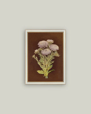 Dahlia Bunch Framed Art (more sizes)