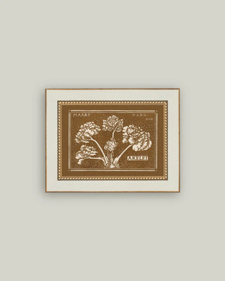 Botanical Etchings Framed Wall Art (more sizes)