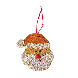 Christmas Cookie Bird Feeder Ornament