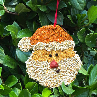 Christmas Cookie Bird Feeder Ornament