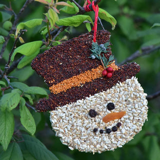 Christmas Cookie Bird Feeder Ornament