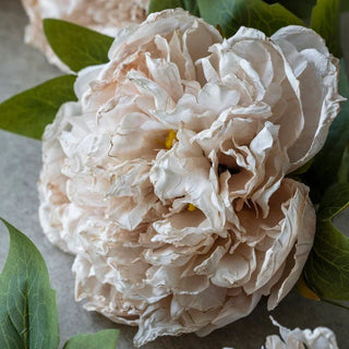 Faux Peony - Evening Dew