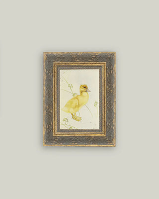 Darling Duckling Framed Wall Art (more sizes)