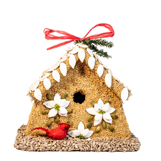 Winter Bloom Bird House Feeder