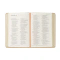 NLT Compact Bible - Sonora Theme