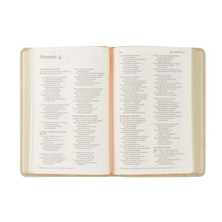 NLT Compact Bible - Sonora