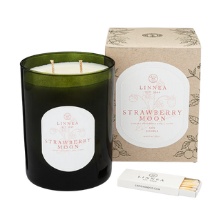 Linnea Two Wick Candle + Matches Gift Set (more scents)