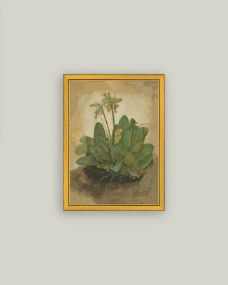 Tuft Of Cowslips Framed Wall Art (more sizes)