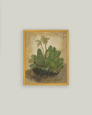 Tuft Of Cowslips Framed Wall Art (more sizes)