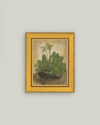 Tuft Of Cowslips Framed Wall Art (more sizes)