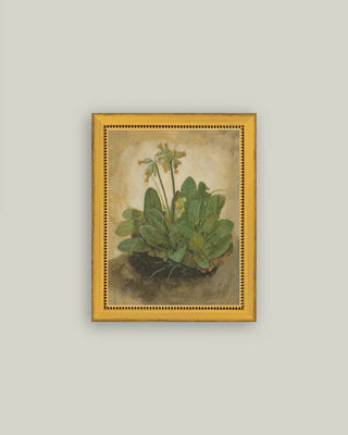 Tuft Of Cowslips Framed Wall Art (more sizes)