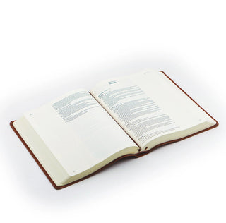 Vienna Large-Print KJV Journaling Bible