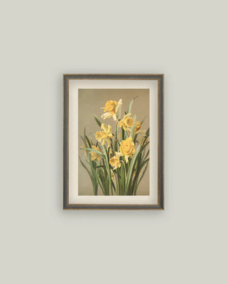 Yellow Daffodils Framed Wall Art (more sizes)