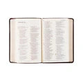 NLT Compact Bible - Yorkshire