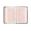 NLT Compact Bible - Yorkshire