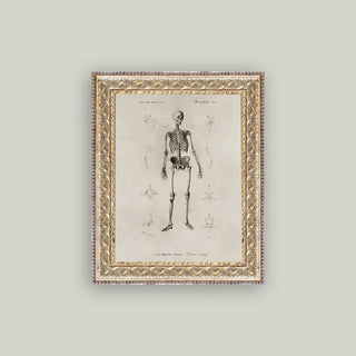 Skeleton Anatomy Framed Wall Art