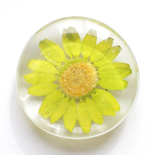 Glass Floral Magnet (more colors)